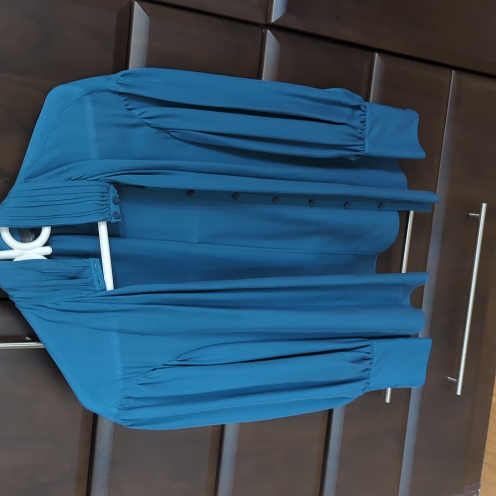 Armani Exchange Silk Blue Blouse